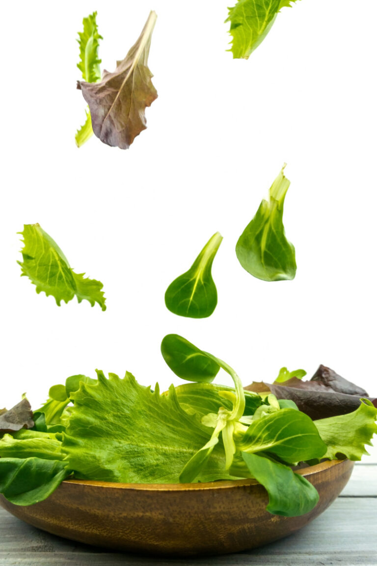 Spring Mix Salad